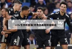 cctv世界杯直播(世界杯央视转播频道)