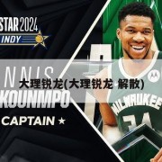 大理锐龙(大理锐龙 解散)