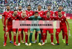 足球竞猜网(足球比分网500彩票网)