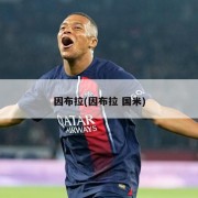 因布拉(因布拉 国米)