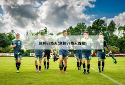 灰熊vs热火(灰熊vs热火首发)