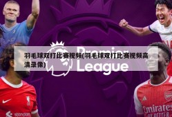 羽毛球双打比赛视频(羽毛球双打比赛视频高清录像)
