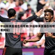 中超联赛直播在线观看(中超联赛直播在线观看网站)