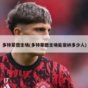 多特蒙德主场(多特蒙德主场能容纳多少人)