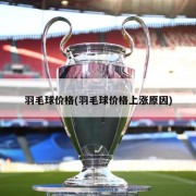 羽毛球价格(羽毛球价格上涨原因)
