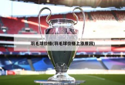 羽毛球价格(羽毛球价格上涨原因)