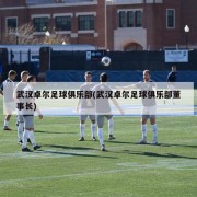 武汉卓尔足球俱乐部(武汉卓尔足球俱乐部董事长)