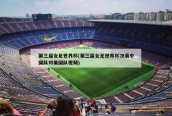 第三届女足世界杯(第三届女足世界杯决赛中国队对美国队视频)