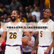 中国申办世界杯(五人制足球场造价预算)
