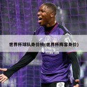 世界杯球队身价榜(世界杯阵容身价)