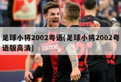 足球小将2002粤语(足球小将2002粤语版高清)