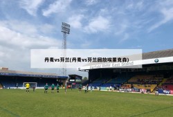 丹麦vs芬兰(丹麦vs芬兰回放埃里克森)