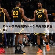热火vs公牛高清(热火vs公牛高清免费直播)