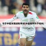 马宁中超关键战陷争议(中超裁判马宁动向)