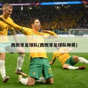 西班牙足球队(西班牙足球队帅哥)