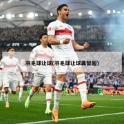 羽毛球让球(羽毛球让球龚智超)