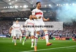 羽毛球让球(羽毛球让球龚智超)