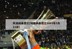 阿森纳桑德兰(阿森纳桑德兰2003年5月11日)