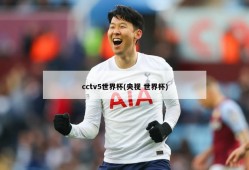 cctv5世界杯(央视 世界杯)