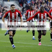 英超第二支降级队(2021英超降级规则)
