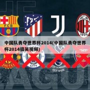 中国队勇夺世界杯2014(中国队勇夺世界杯2014搞笑视频)