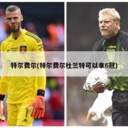 特尔费尔(特尔费尔杜兰特可以拿6冠)