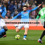 欧联杯和欧冠(欧联杯和欧冠有什么区别)