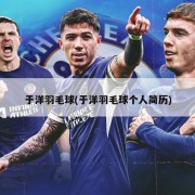 于洋羽毛球(于洋羽毛球个人简历)