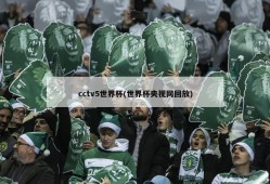 cctv5世界杯(世界杯央视网回放)