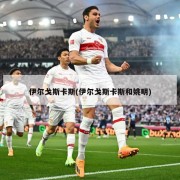 伊尔戈斯卡斯(伊尔戈斯卡斯和姚明)