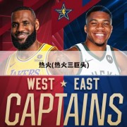 热火(热火三巨头)