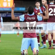 闫鹏飞(闫鹏飞爱特云翔)