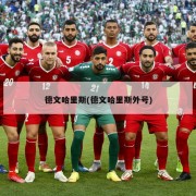 德文哈里斯(德文哈里斯外号)