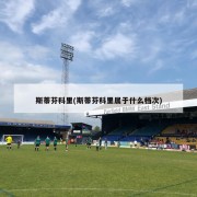 斯蒂芬科里(斯蒂芬科里属于什么档次)