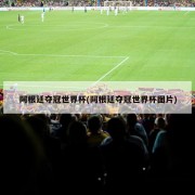 阿根廷夺冠世界杯(阿根廷夺冠世界杯图片)