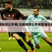 法国网球公开赛(法国网球公开赛直播在线观看)