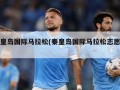 秦皇岛国际马拉松(秦皇岛国际马拉松志愿者)
