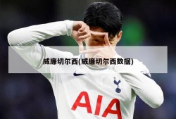 威廉切尔西(威廉切尔西数据)