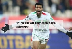 2010世界杯进球集锦(2010世界杯进球集锦大全)