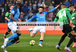 柏太阳神足球俱乐部(柏太阳神足球俱乐部球衣)