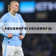 卡塔尔世界杯扩军(卡塔尔世界杯扩容)