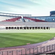 世界杯大名单(葡萄牙世界杯大名单)