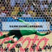 羽毛球网(羽毛球网上端距地面高度)