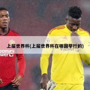 上届世界杯(上届世界杯在哪国举行的)