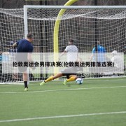 伦敦奥运会男排决赛(伦敦奥运男排落选赛)