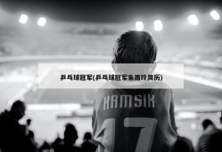 乒乓球冠军(乒乓球冠军朱雨玲简历)
