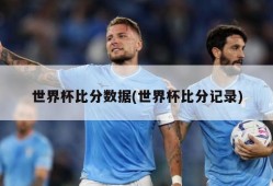 世界杯比分数据(世界杯比分记录)