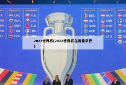 2022世界杯(2022世界杯在哪里举行)