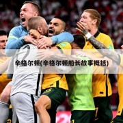 辛格尔顿(辛格尔顿船长故事概括)
