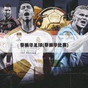 蔡振华足球(蔡振华比赛)
